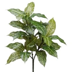 28″ Acuba Plant With 28 Leaves Green Cream