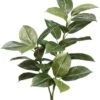 27″ Rubber Plant X3 With 28 Leaves Green
