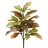 34″ Croton Plant With 40 Leaves Varigated Green