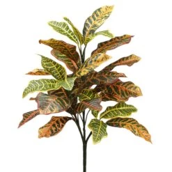 34″ Croton Plant With 40 Leaves Varigated Green