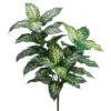 34″ Dieffenbachia Plant With 40 Leaves Green Cream