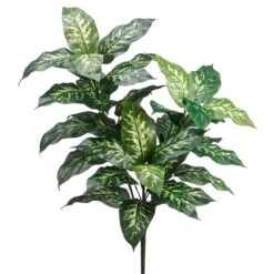 34″ Dieffenbachia Plant With 40 Leaves Green Cream
