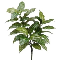 33″ Acuba Plant With 40 Leaves Green Cream