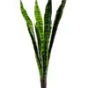 28″ Mother-In-Law Tongue Plant Two Tone Green