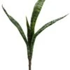 18″ Mother-In-Law Tongue Plant Two Tone Green