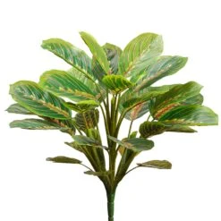 19″ Round Peacock Plant With 33 Leaves Green Mauve