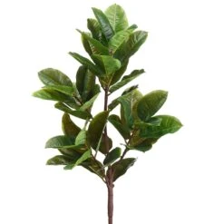 28″ Rubber Plant With 40 Leaves Green