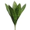 10″ Sansevieria Plant Green