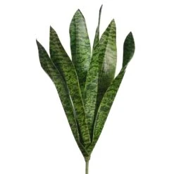 16″ Sansevieria Plant Green