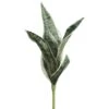 16″ Sansevieria Plant Green Gray