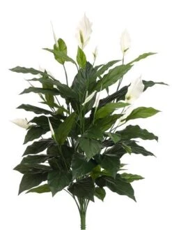 42.5″ Spathiphyllum Plant with 60 Leaves And 10 Flowers Green