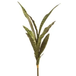 27″ Sansevieria Plant X9 Green
