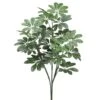 3′ Baby Schefflera Plant X3 Green