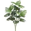 3′ Split Philodendron Plantx3Green
