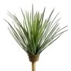 14″ Whipple Yucca Plant Green Gray