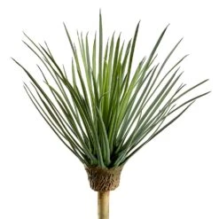 14″ Whipple Yucca Plant Green Gray