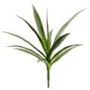 22″ Yucca Plant Green