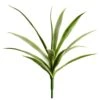 22″ Yucca Plant Variegated