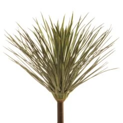 17″ Yucca Plant Green Gray