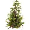 22″ Boxwood Cone Topiary Green