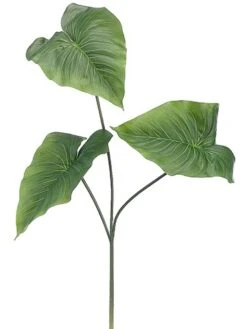 24″ Anthurium Spray Green