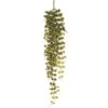 38″ Button Leaf Hanging Spray Green