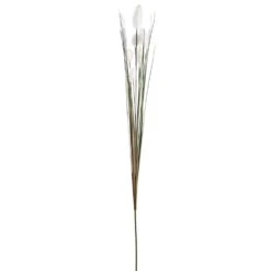 31″ Cattail Grass Spray Cream