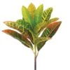 13″ Croton Spray Yellow Green