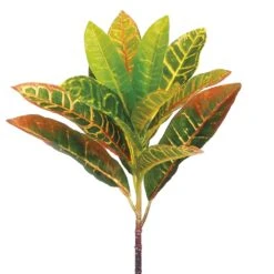 13″ Croton Spray Yellow Green