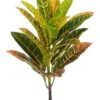 21″ Croton Spray  Yellow Green