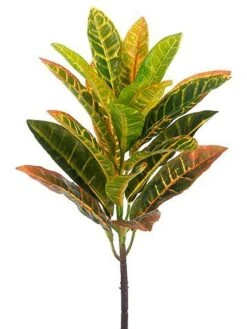 21″ Croton Spray  Yellow Green