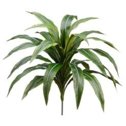 24″ Draceana Branch With 24 Leaves Green Gray