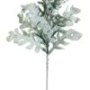 17″ Dusty Miller Spray  Green Gray