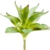 10″ Dracaena Spray Green