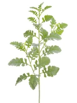 25″ Dusty Miller Spray Green Gray