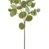 26.5″ Eucalyptus Leaf Spray  Green Gray