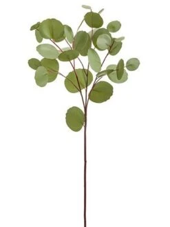 26.5″ Eucalyptus Leaf Spray  Green Gray