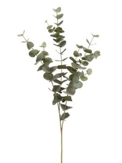 40″ Eucalyptus Spray Green Gray