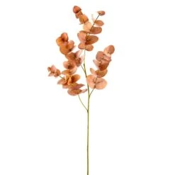 34″ Eucalyptus Leaf Spray  Terra Cotta