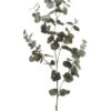 40″ Eucalyptus Spray Green