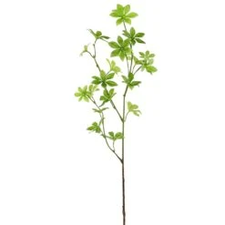 34.5″ Enkianthus Leaf Spray Green