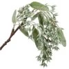 16″ Eucalyptus Seed HangingSprayGreen Whitewashed