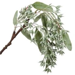 16″ Eucalyptus Seed HangingSprayGreen Whitewashed