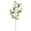 35.5″eucalyptus Leaf Spray Green