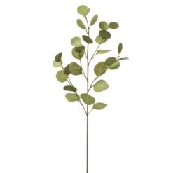35.5″eucalyptus Leaf Spray Green