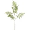 34″ Aspargus Fern Spray Two Tone Green
