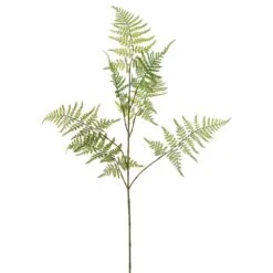 34″ Aspargus Fern Spray Two Tone Green