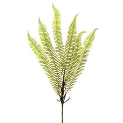 42″ Sword Fern Spray Green