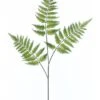 33″ Forest Fern Spray Green
