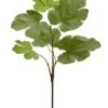 26″ Fig Leaf Spray Green